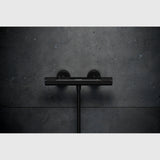 Hansgrohe Brusearmatur Hansgrohe Ecostat Element Brusetermostat – mat sort