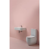 Lavabo Toiletter Lavabo Toilet FLO back-to-wall skjult P-lås - hvid