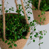 MOUD JUTE Hængepotte - Natur