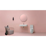 Lavabo Toiletter Lavabo Toilet FLO back-to-wall skjult P-lås - hvid